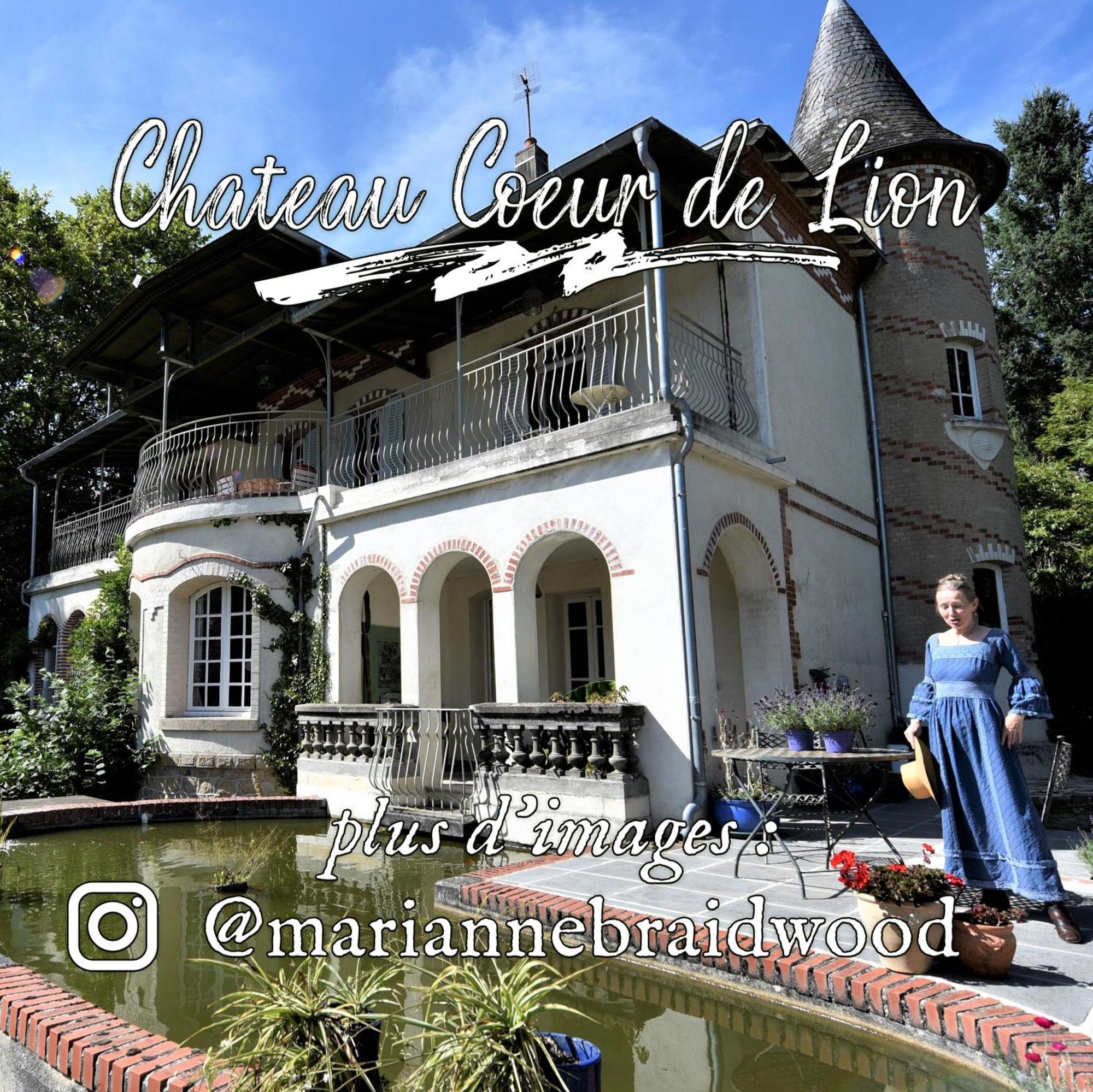 Chateau Coeur De Lion Châteauponsac Buitenkant foto