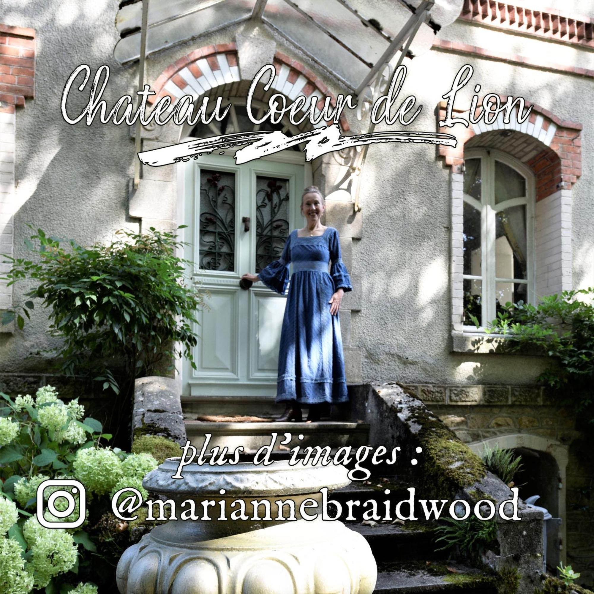 Chateau Coeur De Lion Châteauponsac Buitenkant foto