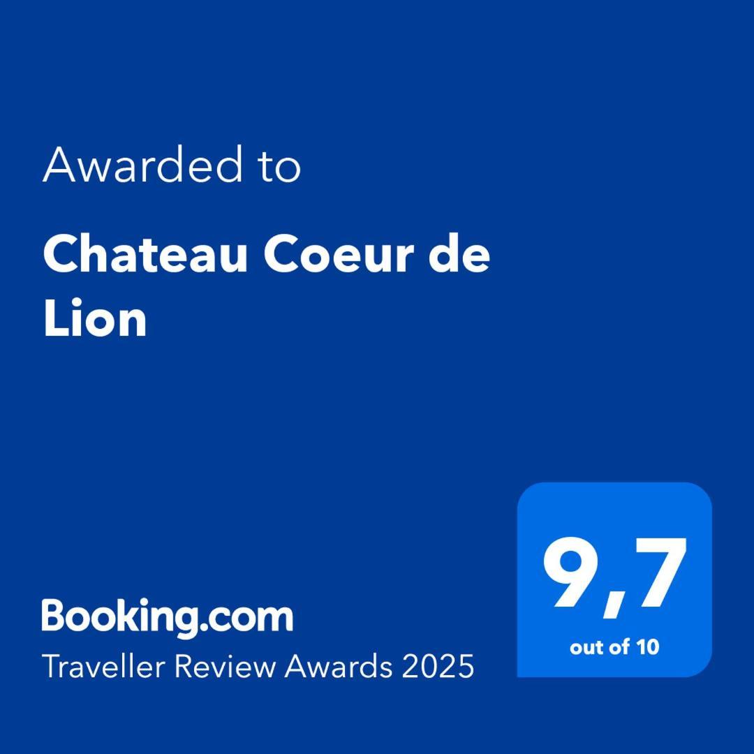 Chateau Coeur De Lion Châteauponsac Buitenkant foto